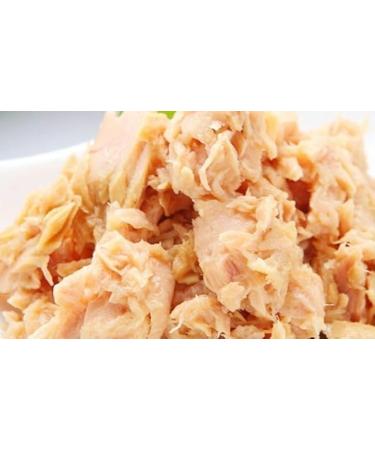 WENXUANSU:Canned tuna fish 12 cans total net weight 2220 grams (185gX12 tins)