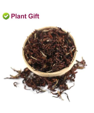 Premium Dried Magnolia Tea 40g - Edible Flower Herbal Tea | Fragrant Natural Health Benefits - Buy Online on GoSupps.com
