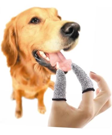 NOLITOY 4 Pairs Dog Teeth Cleaning Tooth Paste Cat Toothpaste Pet Teeth Cleaning Supplies Child Set The Cat - Buy Online on GoSupps.com