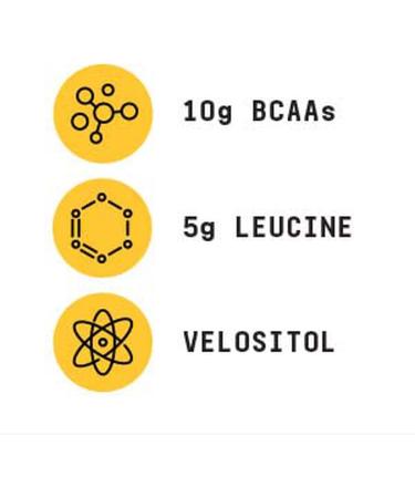 Beyond Raw Precision BCAA Powder - Blue Raspberry Lemonade | Anabolic Recovery & Power Output | 30 Servings - Buy Online on GoSupps.com