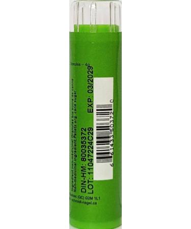 Aurum Metallicum 200K Homeopathy Medicine Schmidt-Nagel Canada (Homeodel) 90 pellets/granules - Buy Online on GoSupps.com