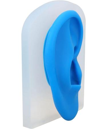 Buy Gernie Ear Model Accessories - Realistic Human Ear Displays for Anatomy & Hearing Enhancement - Buy Online on GoSupps.com