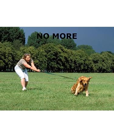 Champion Anti-Pull Training Halter for Dogs - Padded Black No More Pulling | International Shipping - Buy Online on GoSupps.com
