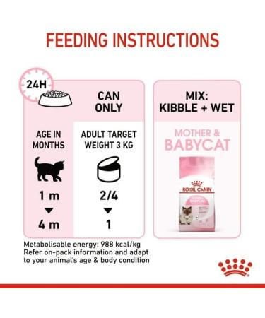 Royal Canin Mother & Babycat Mousse | 12 x 195 g | Complete Food for Cats | Especially for the Mother Cat and Her Puppies | To Support the Body's Defense - Buy Online on GoSupps.com