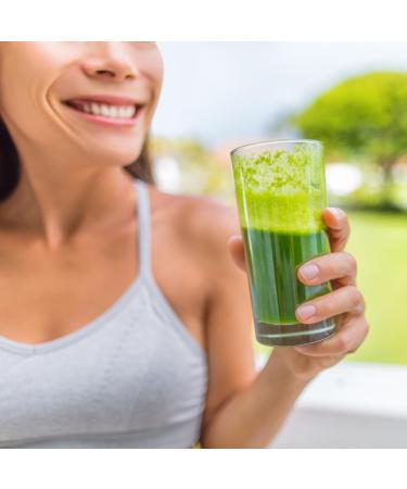 COLIBREECO Plant-Based Green Protein Powder 12 oz (Pack of 1) Superfood Protein with Spirulina Turmeric Ginger Probiotics for Digestive Support Nutrition & Energy. Vegan & Chemical-Free. - Buy Online on GoSupps.com