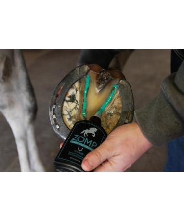 Zomp Liquid Hoof Thrush and White Line Treatment for Horses - 6 Fl Oz. - Buy Online on GoSupps.com