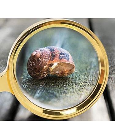 Reading HD Optical Glass Glass Gold Full Metal 20 Times Glass Handheld Old Reading Glass 10 Times Good Times - Buy Online on GoSupps.com