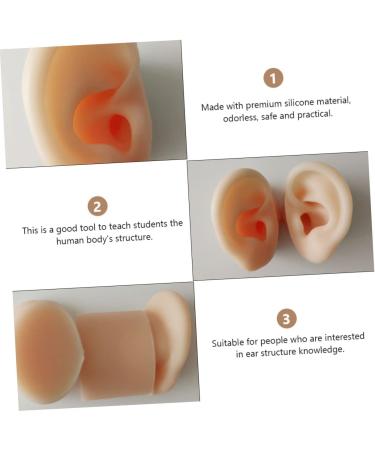 Healifty 1 Pair Fake Ear | Simulated Ear Model for Practice | Ear Cleaning and Acupoint Learning Tool - Buy Online on GoSupps.com