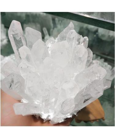 Natural Transparent White Crystal Cluster Natural Crystal Reiki - Buy Online on GoSupps.com