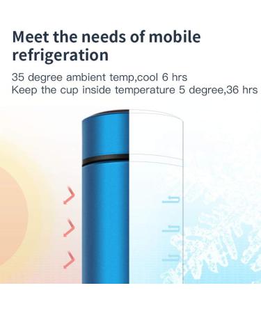 Insulin Refrigerated Cup Portable Insulin Cooler Bottle 36Hrs Cooling Drug Reefer Small Cold Refrigerator Medicine Refrigerated Mini Case Diabetic Medical Cooler (Silver) - Buy Online on GoSupps.com