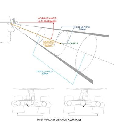 Nickel Alloy Frame 4.0X 4X Magnification Binocular Magnifier - Buy Online on GoSupps.com