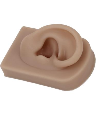 Flexible Brown Right Ear Model for Earrings Display and Acupuncture Training - Buy Online on GoSupps.com