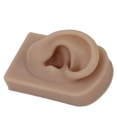Flexible Reusable Simulated Human Ear Model - Right Ear for Earrings Display & Acupuncture Training (Brown) - Buy Online on GoSupps.com