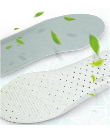 Buy CSCDD Sports Insole - Breathable EVA Soft & Comfortable Cushioned Shock Absorbing Insoles (Size 41-42) for Enhanced Comfort - Buy Online on GoSupps.com