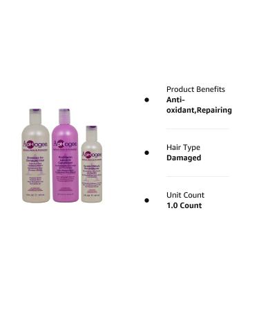 ApHogee Damaged Hair Repair Set - Shampoo + ProVitamin Leave-In + Keratin Reconstructor 16oz & 8oz - Buy Online on GoSupps.com