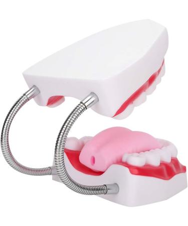 High-Quality Dental Teaching Model | Teeth Model for Clinics & Study | International Shipping Available - Buy Online on GoSupps.com