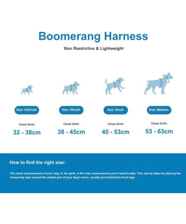BullyBillows Boomerang Harness | Lightweight & Non-Restrictive Dog Harness | Easy Slip On & Off Design | Premium Quality with Velcro Strap | Carminerose M Medium - Buy Online on GoSupps.com