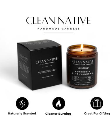 Buy Exotic Pineapple Sage - Premium Soy & Coconut Wax Candle for a Tropical Aroma | International Shipping Available - Buy Online on GoSupps.com