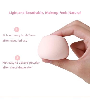 Qlarnaweer Beauty Blender Sponges 8 Pcs Makeup Sponges Blender Set with Egg Case and 1 Sponge Holder Pink Pink 9 Piece - Buy Online on GoSupps.com