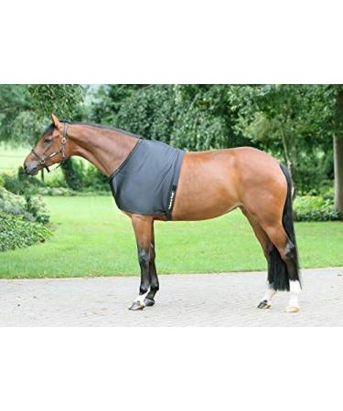 Back on Track Shoulder Protection 125 | Premium Support for Pain Relief | International Shipping Available - Buy Online on GoSupps.com