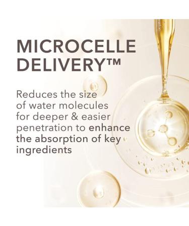 Dr Dennis Gross DermInfusions Fill + Repair Serum & Blur + Repair Cream - Buy Online on GoSupps.com