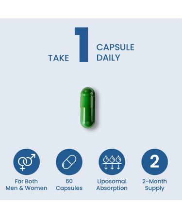 ZEROHARM Ashwagandha liposomale 500 mg Adaptog ne pour le soutien du stress de l' nergie et du sommeil Absorption liposomale haute concentration 60 comprim s (1 paquet) - Buy Online on GoSupps.com