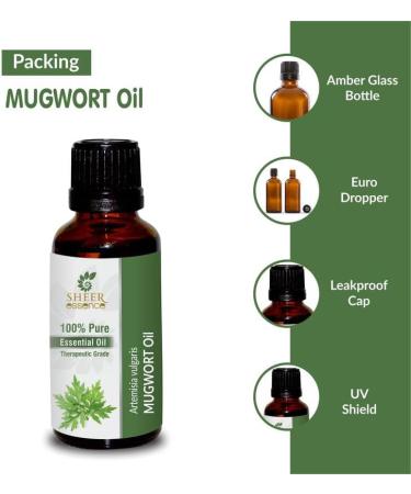 Mugwort Oil 100% Pure Essential Oil | Artemisia Vulgaris Therapeutic Grade | 15ML Natural & Undiluted - Buy Online on GoSupps.com