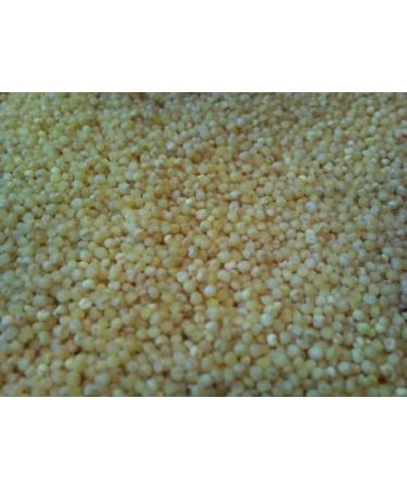  WIDU Widu - Organic Millet with 20-liter cardboard drum - 12.5 kg - Buy Online on GoSupps.com