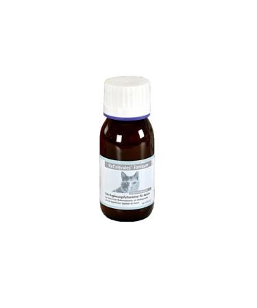 Alfavet Reconvales Tonic Cat |45 ml |Diet supplementary feed for cats |For nutritional restoration and with a hepatic lipidosis of the cat - Buy Online on GoSupps.com