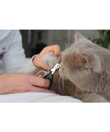 High-Quality Claw Scissors for Cats - Safe & Easy Nail Care for Beginners - International Shipping - Buy Online on GoSupps.com