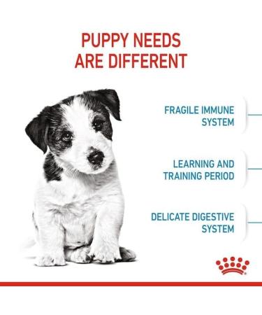 Royal Canin Mini Puppy Complete Dry Dog Food 2 x 800g - Buy Online on GoSupps.com