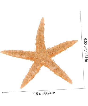 Artibetter Ocean Sea Shell Wedding Ornament 4 Mini Craft Shells Jewelry Aquarium Accessories Homemade Ornaments Conch Jewelry Natural Fish Tank Wedding D cor - Buy Online on GoSupps.com