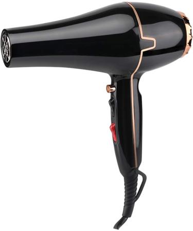 Professional Hair Dryer Ionic Hairdryer 1600W Hair Dryer for Women 2 Speed 3 Heat Settings and Cool Shot Button with 2 Nozzles Negative Ion and Constant Temperature for a Frizz Free Shine Hair Care - Buy Online on GoSupps.com