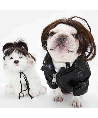 Afro Bangs Funny Pet Wig | Dog Cosplay Pigtails Set | Unique Photography Props & Polyester Wig - Buy Online on GoSupps.com