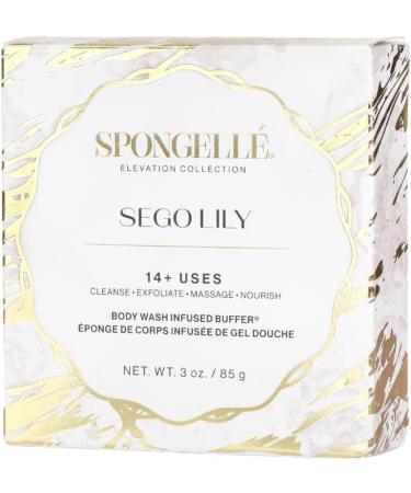 Spongell Elevation Collection Body Wash Infused Buffer Sego Lily - Buy Online on GoSupps.com