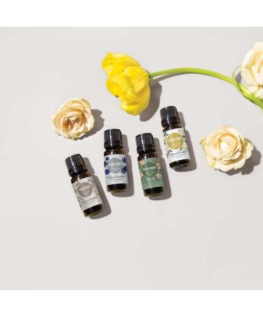 Edens Garden Spring Shine Essential Oil Synergy Blend - Limited Edition | 10ml | 100% Pure Therapeutic Grade - Buy Online on GoSupps.com