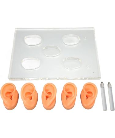 Buy Silicone Waterproof Ear Model for ENT Hospitals - Soft & Tenacious with Support Columns | International Shipping Available - Buy Online on GoSupps.com