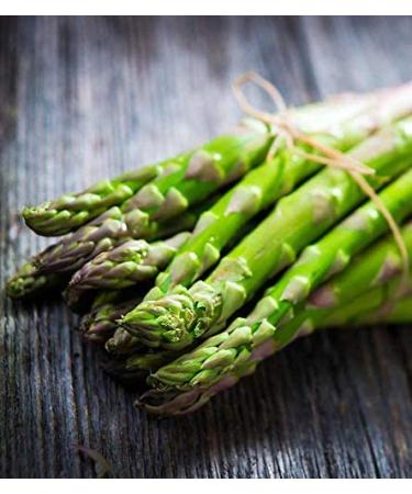 Diuretic and Anti-inflammatory Pill - Asparagus Young Shoots Extract 600 MG - Pure and Potent Ingredients - Asparagus Capsules 600mg - 1 Bottle 60 Capsules - Buy Online on GoSupps.com