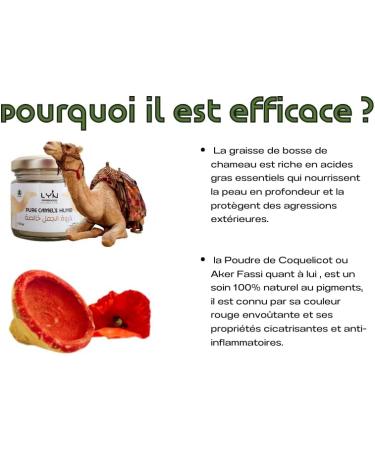  Ly'n Morocco Liquid Lipstick & Cheek Blush with Akr El Fassi - Moisturizing Organic Formula with Camel Hump Fat - Bright and Natural Red Oily Liquid Blush for a Luminous Complexion - Natural Makeup - Buy Online on GoSupps.com