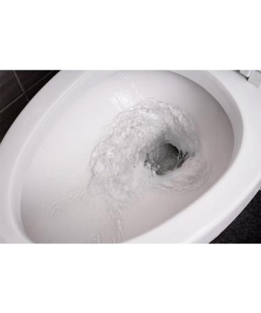 Ambi Pur Fresh & Clean Toilet Block Refill - Tea Tree & Pine - 3 x 55 ML | International Shipping Available - Buy Online on GoSupps.com