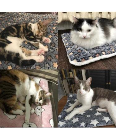 Cozy Calming Cat Blanket for Anxiety and Stress - Medium Size - Buy Online on GoSupps.com
