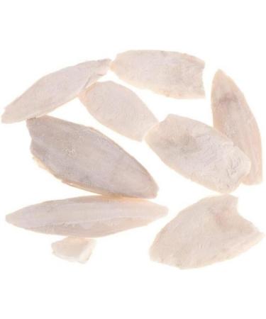 Natural Cuttlefish Bone for Reptiles Tortoises Tortoise Snails Birds and Small Animals Simple and Sophisticated Design