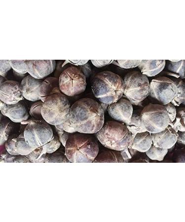 Snot Apple Goron Tula Miracle Fruit Azanza Garckeana Organic Kayamata Sweet Fruit - About 15 - 18 Small Seeds - 105g