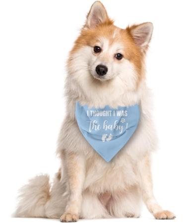 Light Blue Dog Bandana - 'I Thought I Was the Baby' Triangle Scarf for Small to Large Dogs - Perfect Pregnancy Announcement Accessory - Buy Online on GoSupps.com