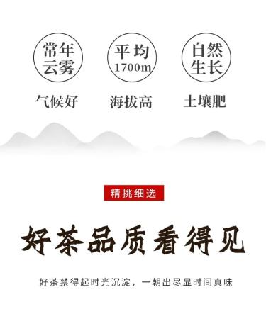 Pu-erh tea 2018 Xinghai Golden Dog Prosperity 357g Raw - Buy Online on GoSupps.com