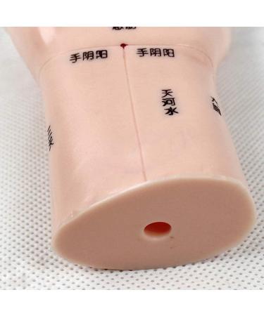 Acupuncture Hand Model Reflexology Acupoint Study Kit - Buy Online on GoSupps.com