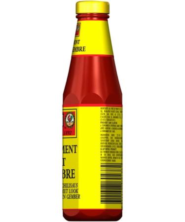 AYAM Garlic and Ginger Chili Sauce | Spicy | 99% Fat Free | Authentic Asian Flavors | High Quality | Healthy Eating | Gluten - Buy Online on GoSupps.com