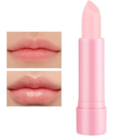 SOYDAN Lip balm with | Fruity moisturizing lip balm - Natural lip care lipstick for dry lips autumn/winter brightening for dark lips Soydan - Buy Online on GoSupps.com