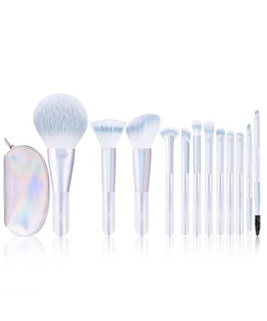 DFHBFG 12 Brushes Set Full Set Loose Powder Spot Color Blush Concealer Brush Tool 1 D