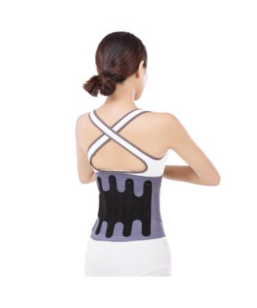 Back Support Back Brace Lumbar Support 1pcs Summer Breathable Back Brace Waist Back Support Lumbar Decompression Back Support Belt(XX-Large) XX-Large Blue